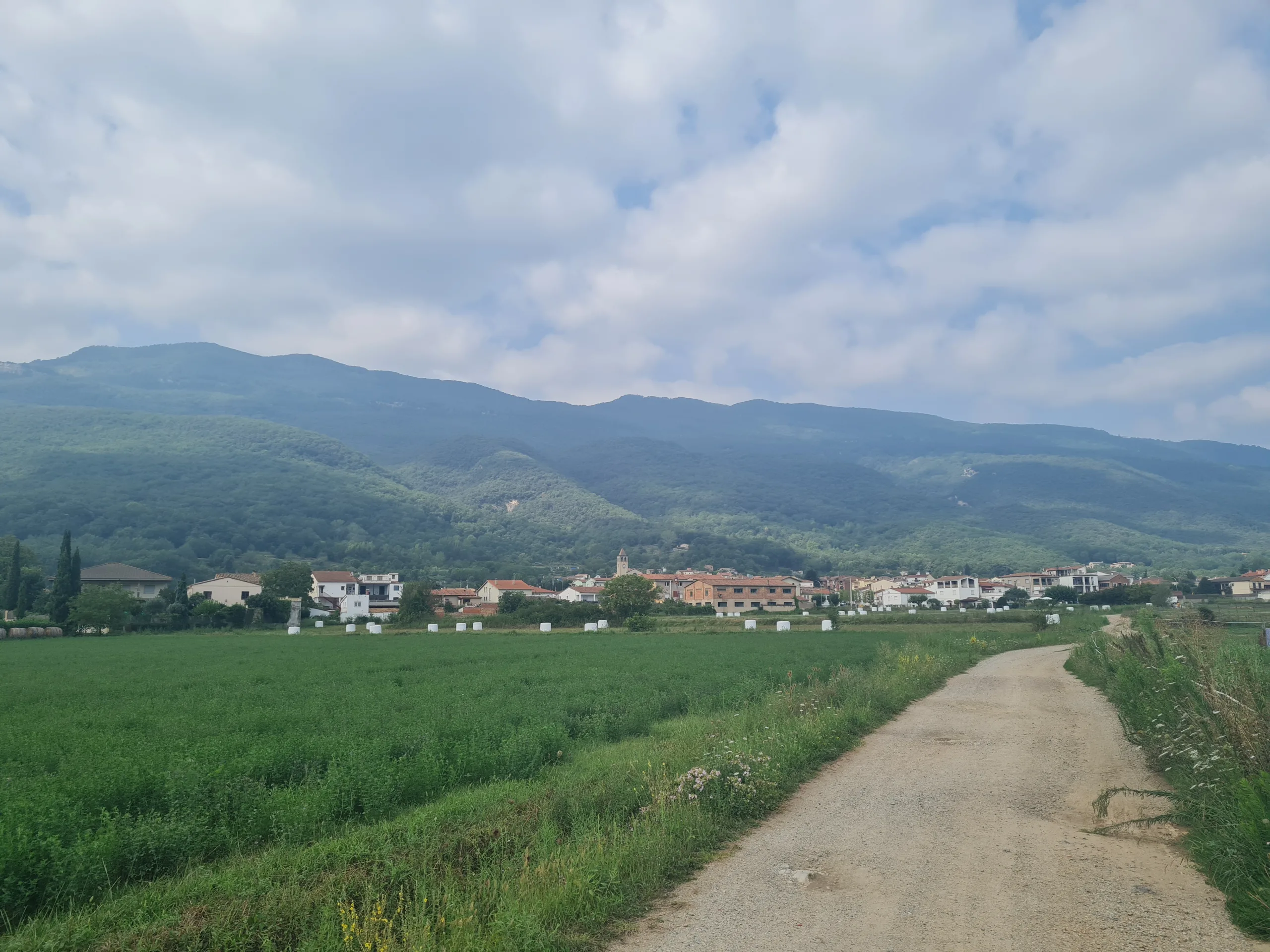 Paire De Sacoches Fac Pyrénées Vertes Et Noires Vélo Vintage