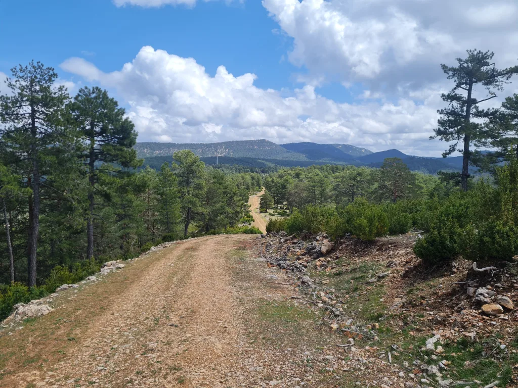Vélo dans les Montanas Vacias